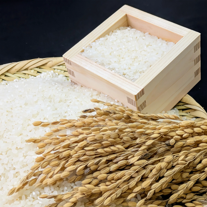 福岡県産米 「誉日」